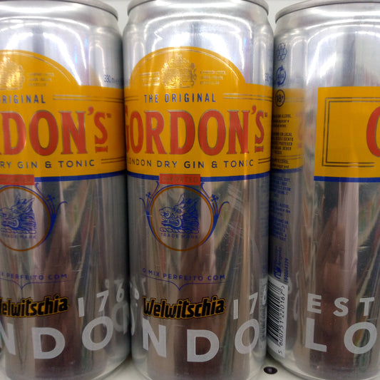 Welwitschia Gordons Gin Lata Cx24